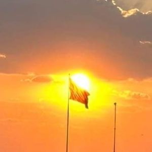 Meet your Posher, Samuel